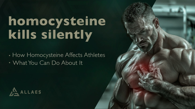 How Homocysteine Affects Athletes and What You Can Do About It How Homocysteine Affects Athletes and What You Can Do About It